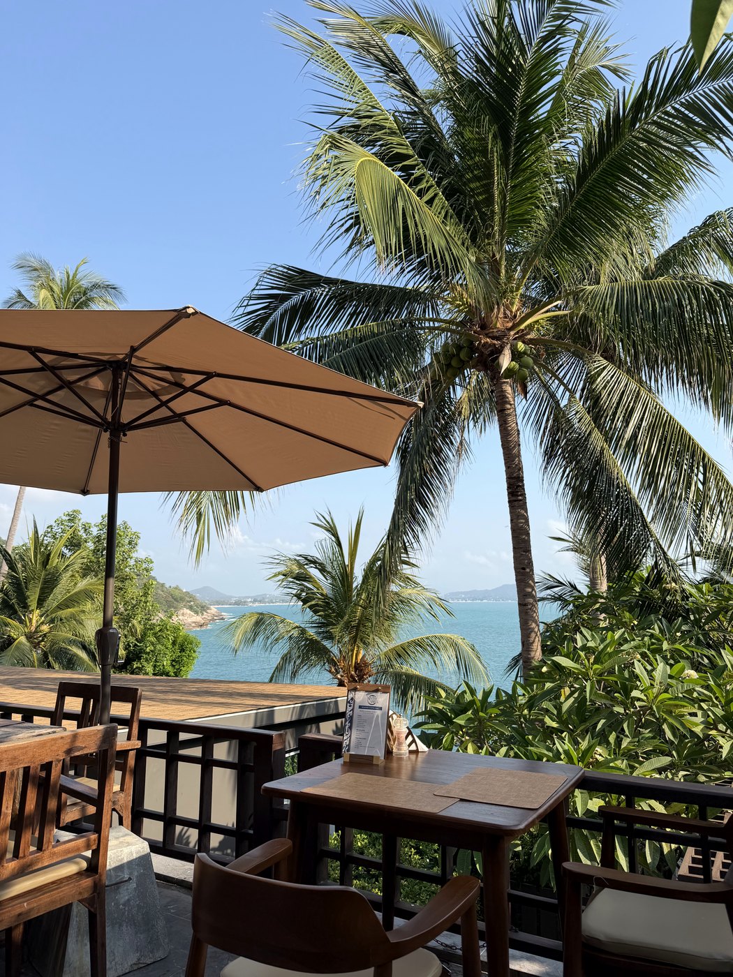 A shaded terrace table with a sea view between the palms in Koh Samui